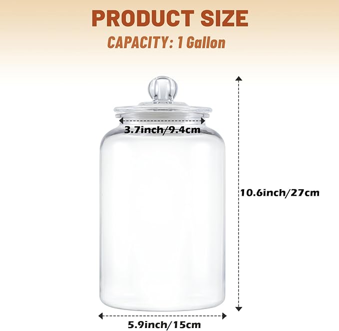 Food Storage Canister, 1 Gallon Clear Plastic with Airtight Lid, 2 Pack