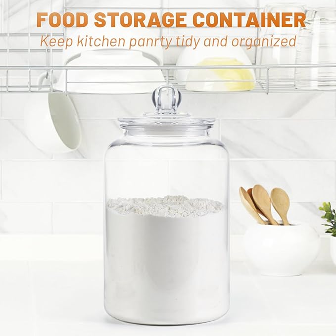 Food Storage Canister, 1 Gallon Clear Plastic with Airtight Lid, 2 Pack