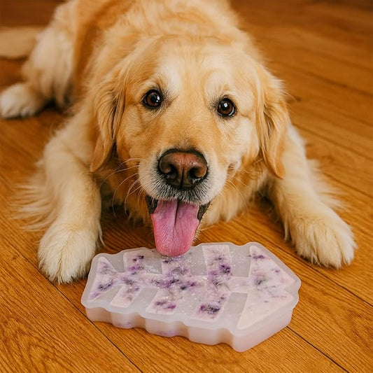 7.5IN Big Fish Bone Dog Cat Treat Mold 1 Pack, DIY Flavors for Puppy. Food Safe Silicone for Oven. Large Ice Cube Mold for Pet Chew, Cooling. Pets Birthday Cake Baking. Fun Gift for Dog Lover