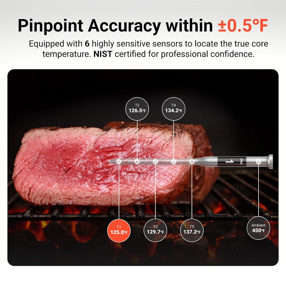 Smart WiFi Wireless Meat Thermometer for Grilling with 2 Probes – close-up