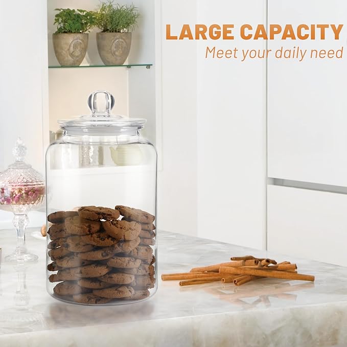Food Storage Canister, 1 Gallon Clear Plastic with Airtight Lid, 2 Pack
