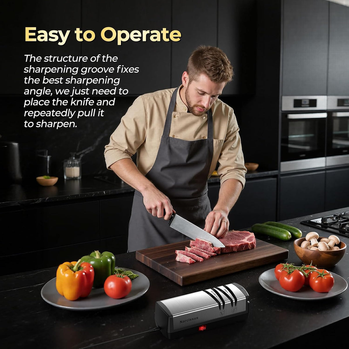 Knife Sharpener, Diamond Abrasives Electric Knife Sharpener for Stainless Steel – set view