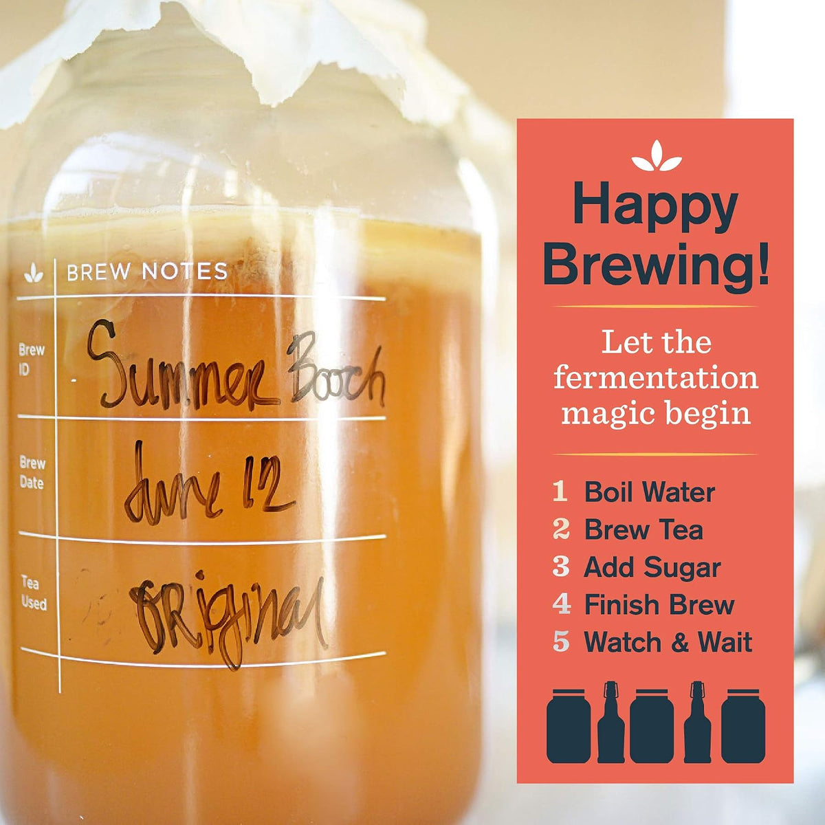 Deluxe Organic Kombucha Starter Kit - Six Swing Top Bottles, Stainless Steel – set view
