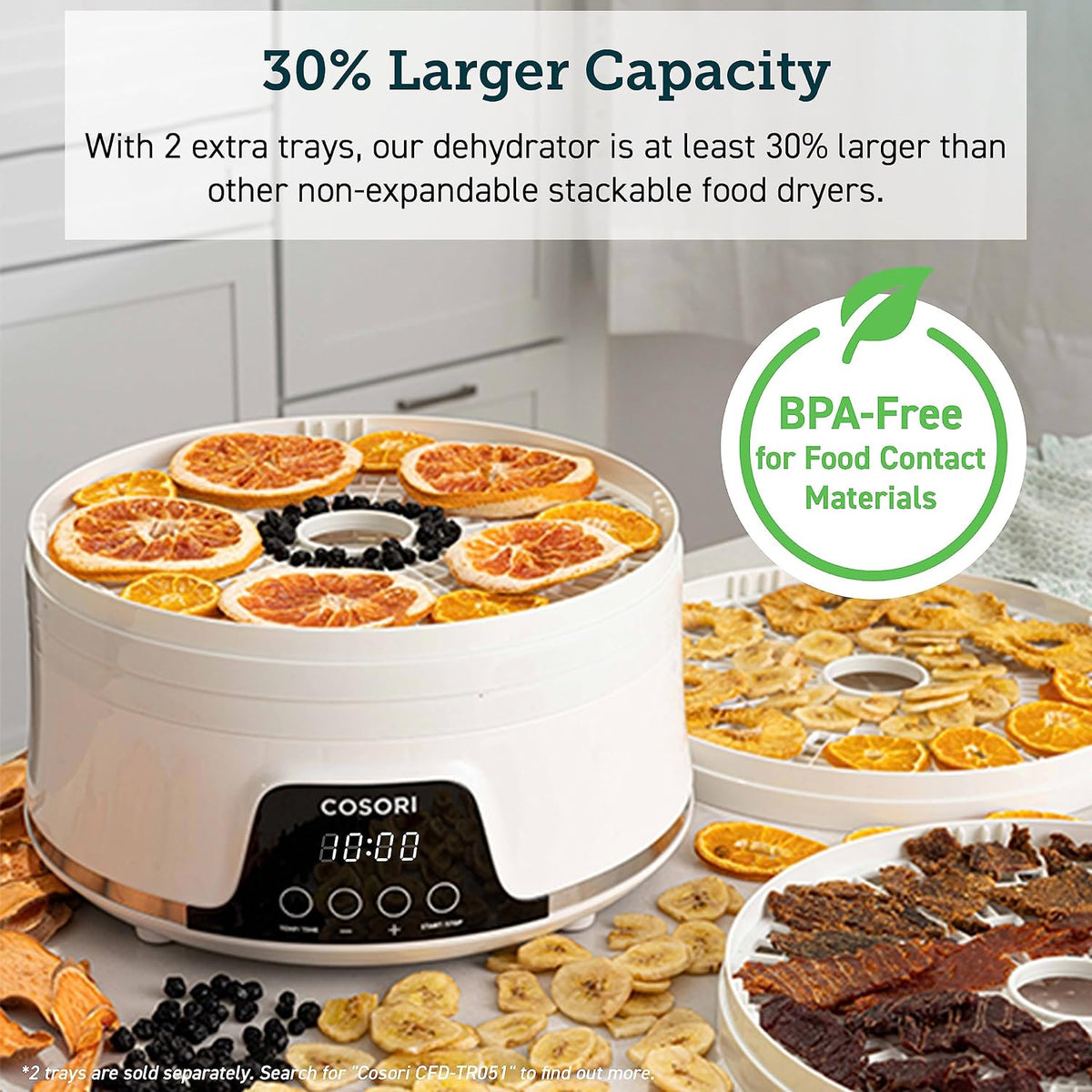 Food Dehydrator, 5 BPA-Free Trays, 165°F Temperature Control, 350W – close-up