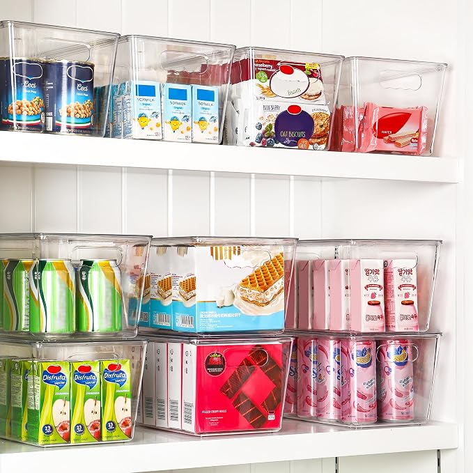 Storage Bins with Lids, 2 Pack, Clear Stackable Plastic