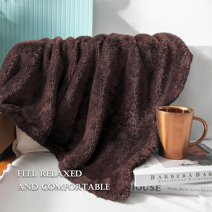Throw Blanket in Coffee, Soft Microfiber Fleece, 90 x 90 Inch Queen