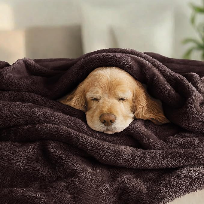 Throw Blanket in Coffee, Soft Microfiber Fleece, 90 x 90 Inch Queen