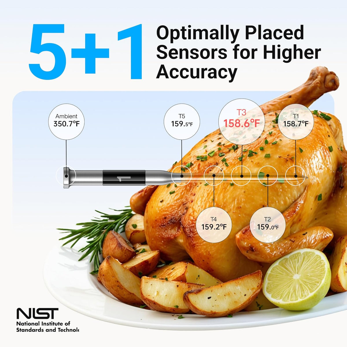 Smart Bluetooth Wireless Meat Thermometer with WiFi App – alternate view