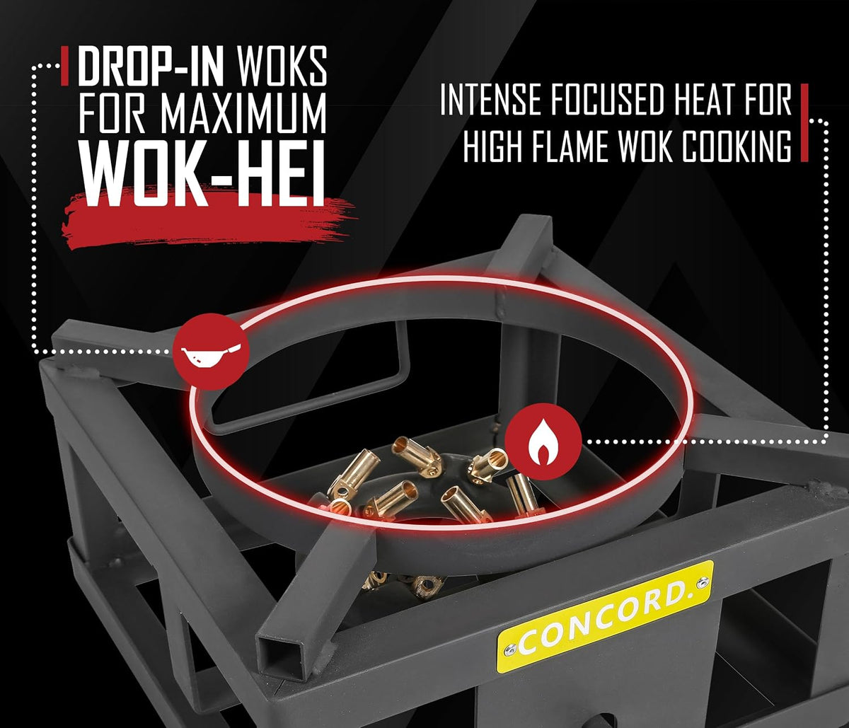 THE WOK BLOCK 12" Single Propane Outdoor Burner with Built in Wok Ring. 45,000 – features