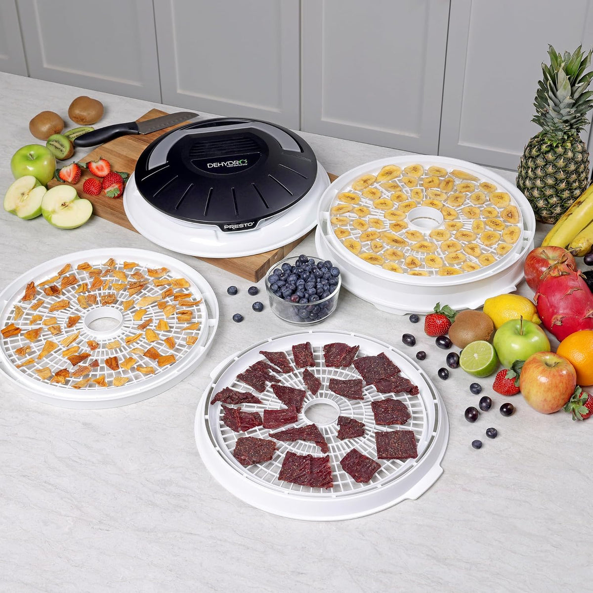 06300 Dehydro Electric Food Dehydrator – another angle